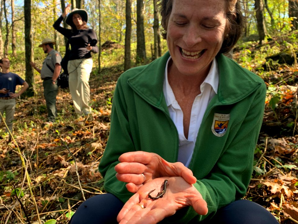 Holding the salamander