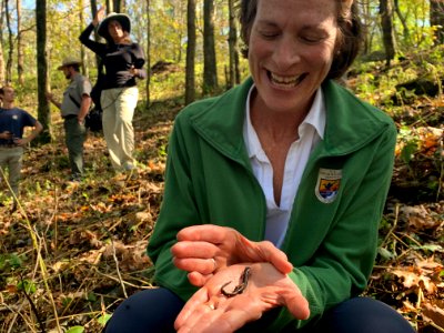 Holding the salamander