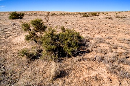Southwestern Otero Mesa