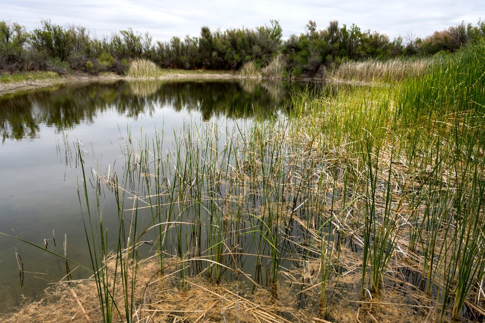 Main Mound Spring
