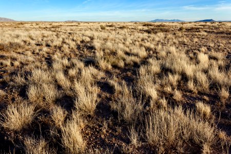 Southwest of Taylor Mountain