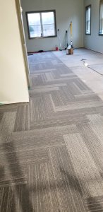 Canaan Valley National Wildlife Refuge Carpet install in open office north