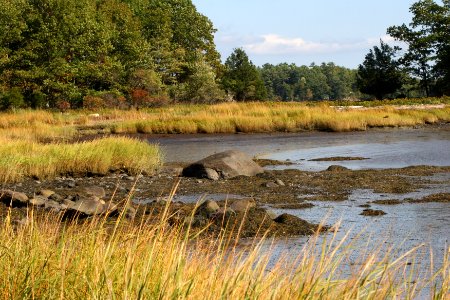 Great Bay National Wildlife Refuge