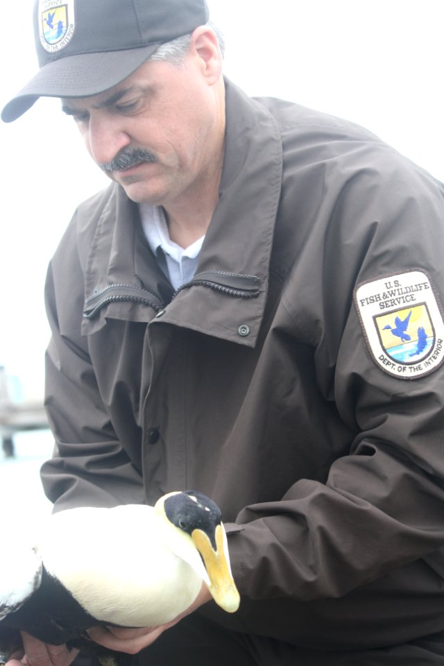 Preparing for release