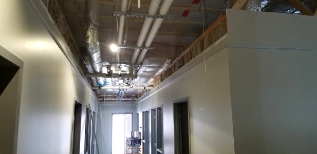Canaan Valley National Wildlife Refuge - Grid ceiling start