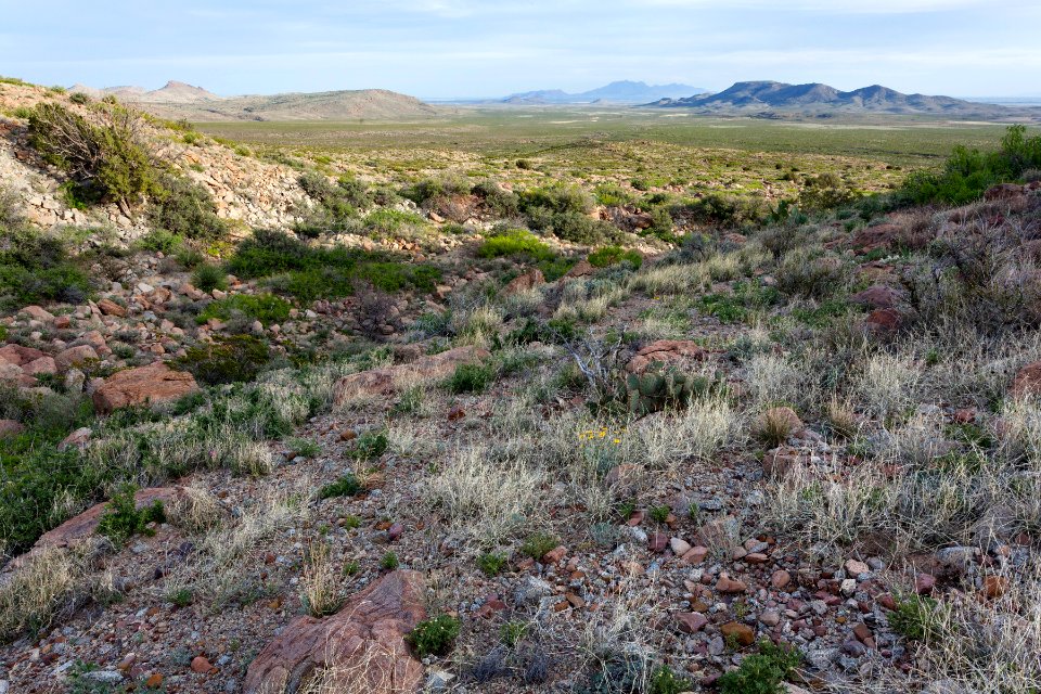 South base of Rattlesnake Ridge
