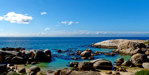 Boulders Beach, South Africa