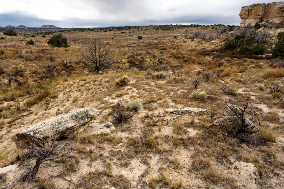 Near Arroyo Piedra Lumbre