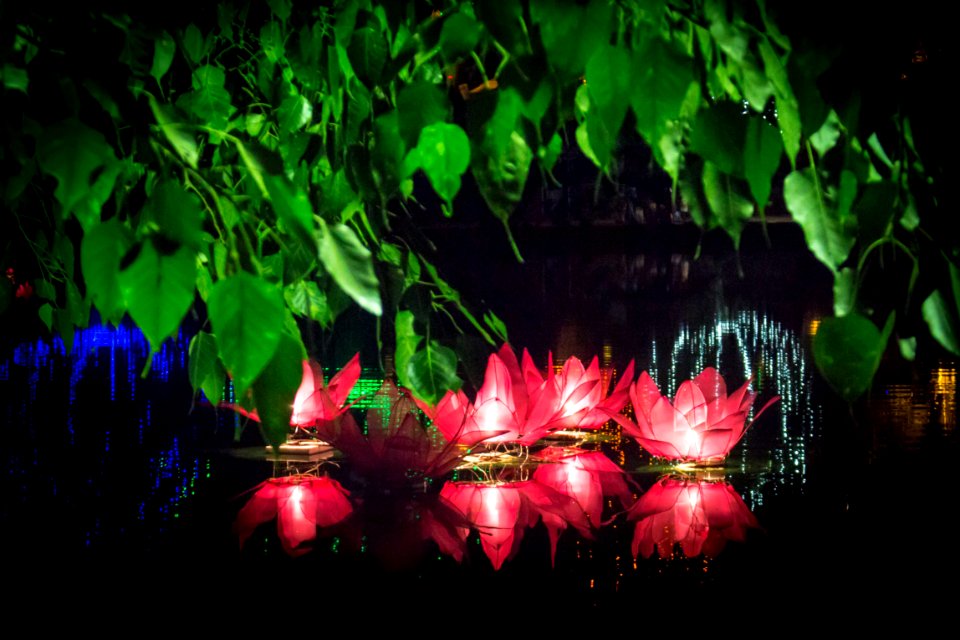 Wesak Festival 2018