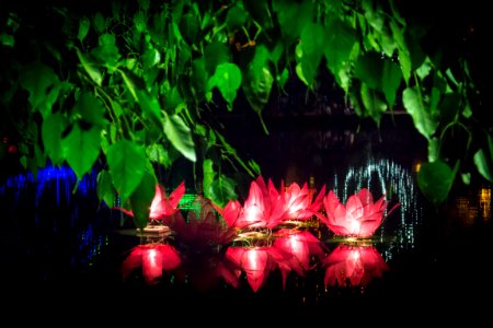 Wesak Festival 2018