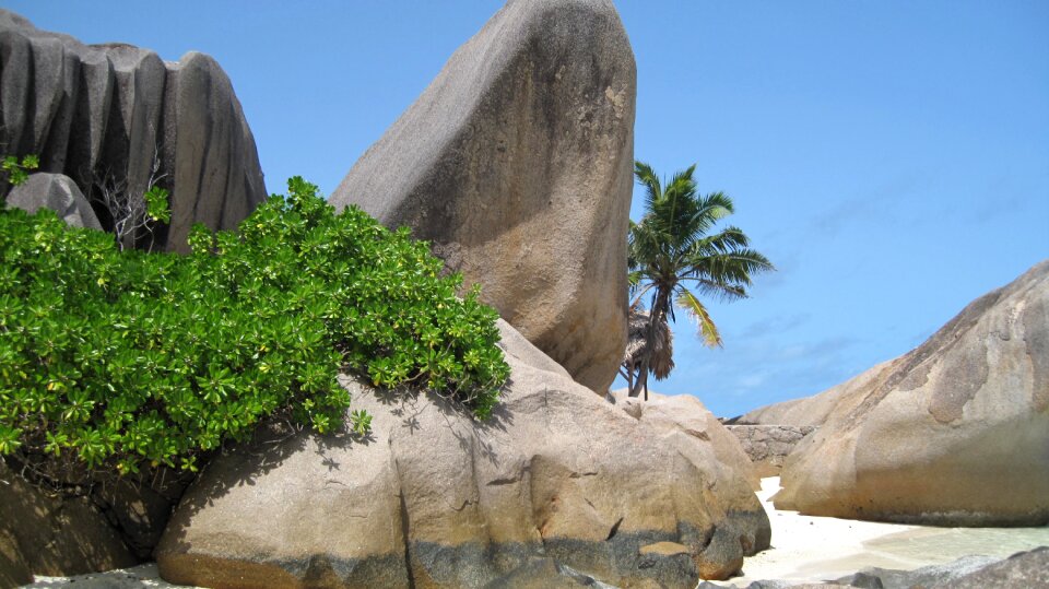 Granite rock palm trees indian ocean