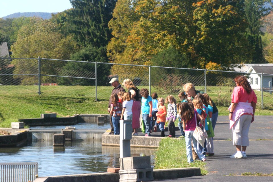 Freshwater Folk Festival (23)