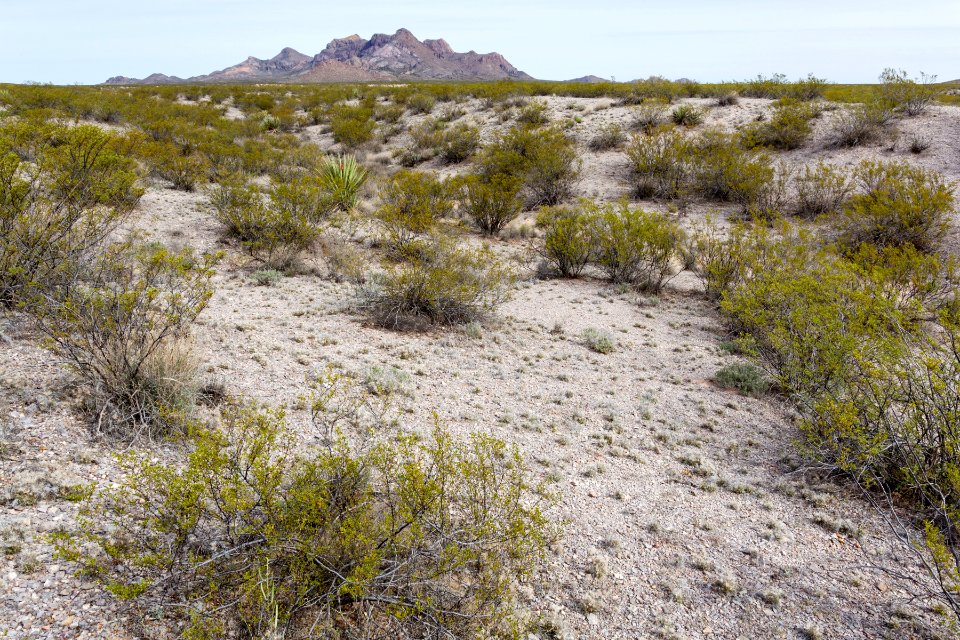 South-southeast of the Doña Ana Mountains