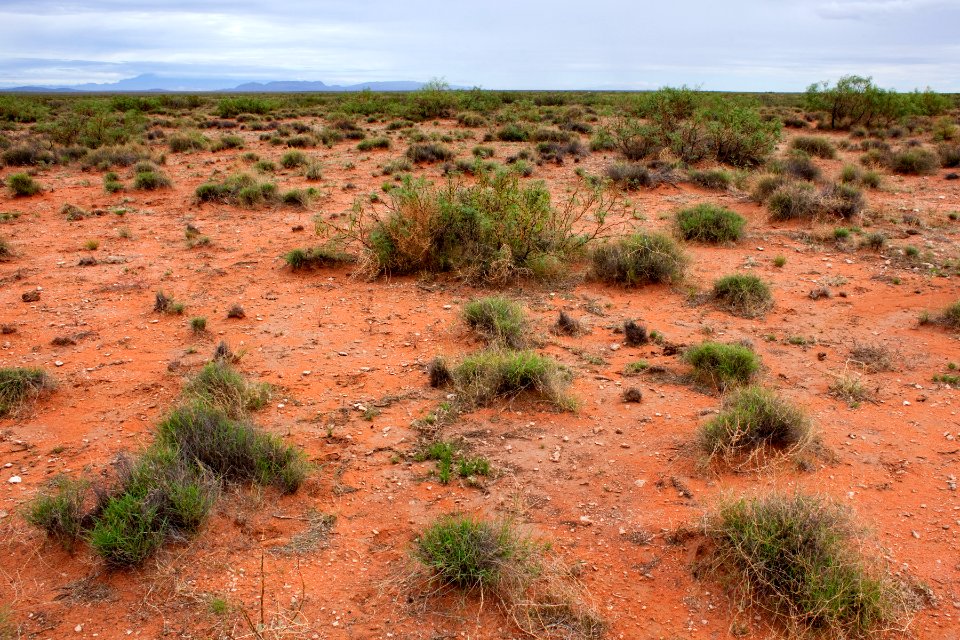 Jornada del Muerto Plain