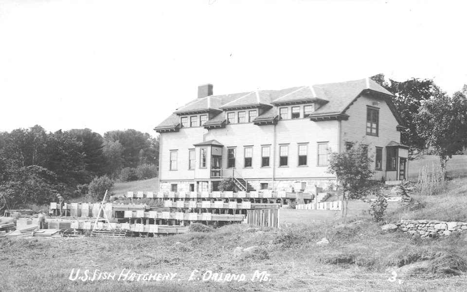 Upper Hatchery 1906-1957 (1)