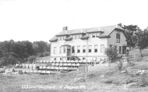 Upper Hatchery 1906-1957 (1)