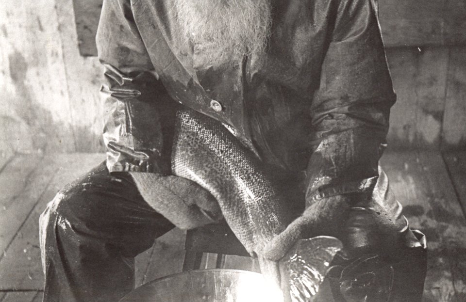 Atkins stripping salmon of eggs (1)