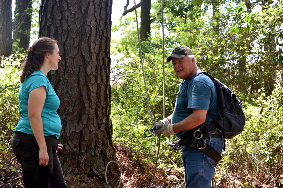 Preparing to return bald eaglet to nest at Eastern Neck National Wildlife Refuge