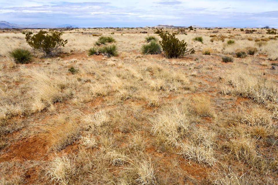 Northern Jornada Plain