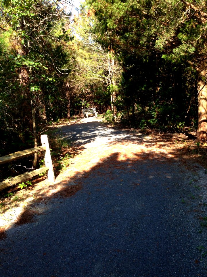 Forsythe wildlife drive after hurricane repairs