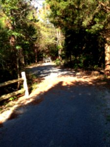 Forsythe wildlife drive after hurricane repairs