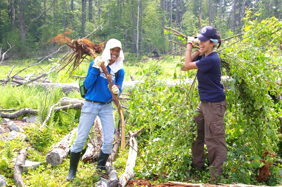 Pulling invasive species
