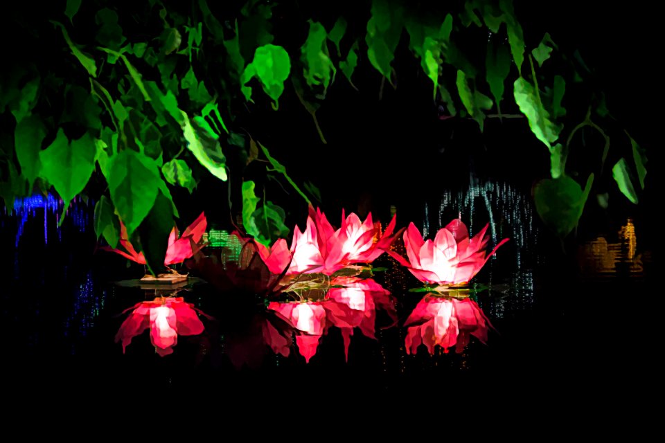 Wesak Festival 2018