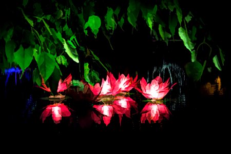 Wesak Festival 2018