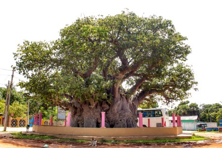 Jaffna Trip 2017 Nov