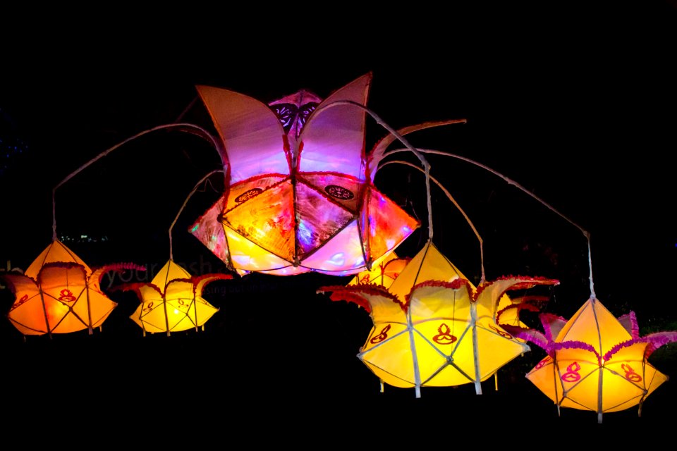 Wesak Festival 2018