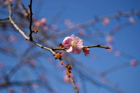 DSC 0015