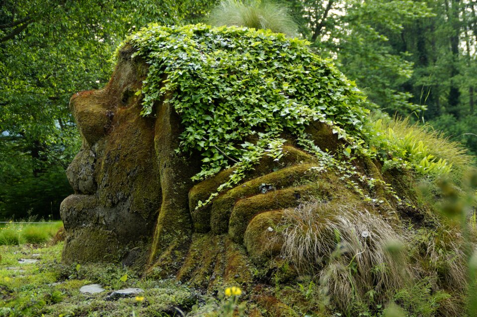 Fairy tales bemoost mossy
