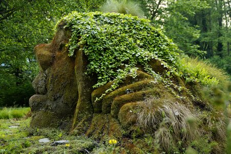 Fairy tales bemoost mossy
