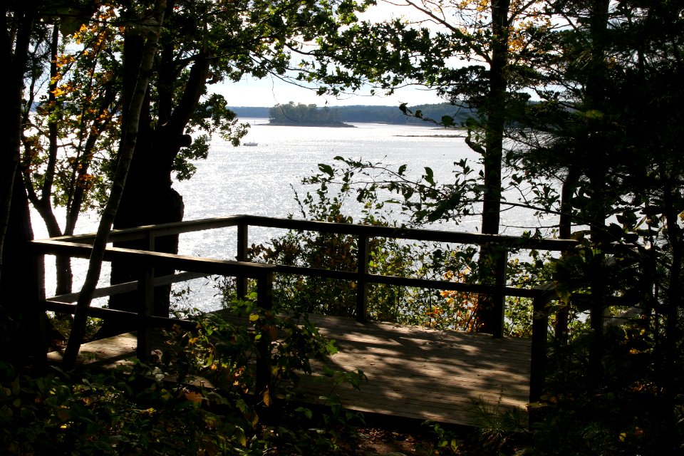 Wildlife viewing platform at Great Bay NWR