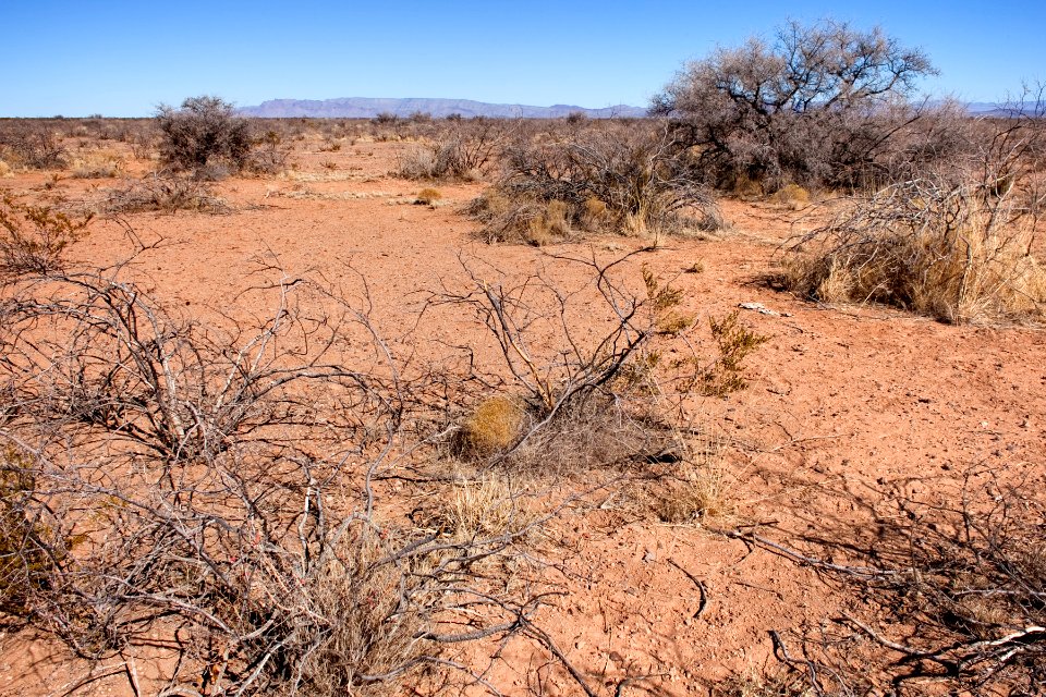 About two miles north-northeast of Cuchillo