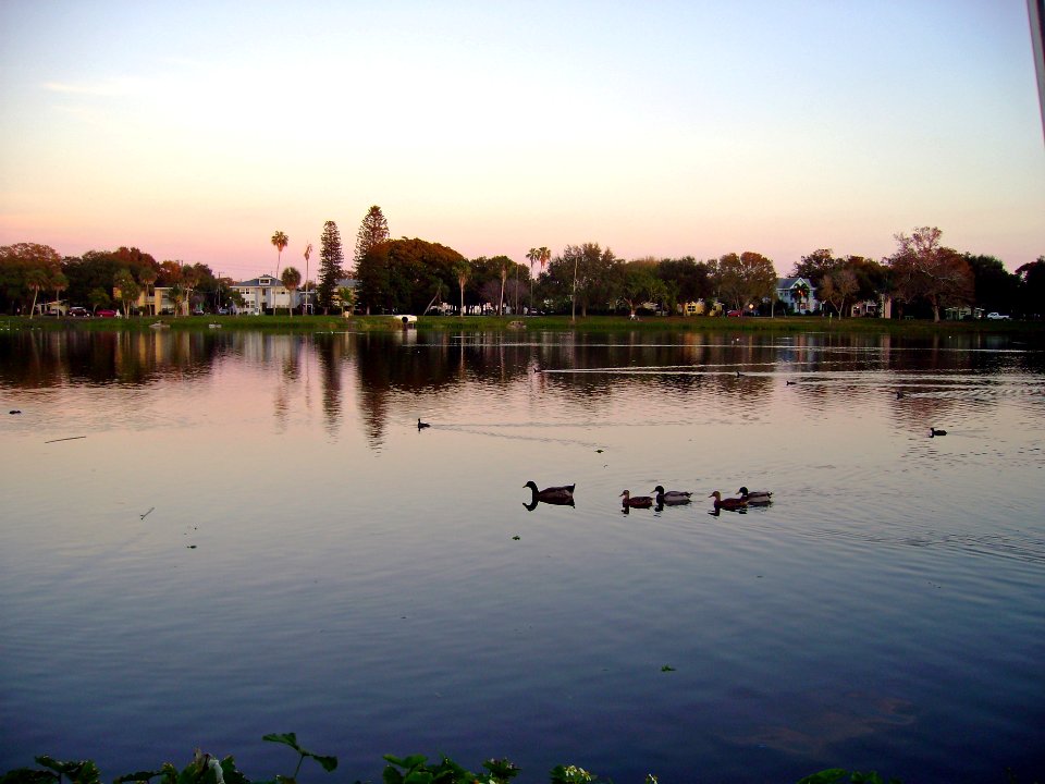 Crescent Lake in St. Petersburg FL