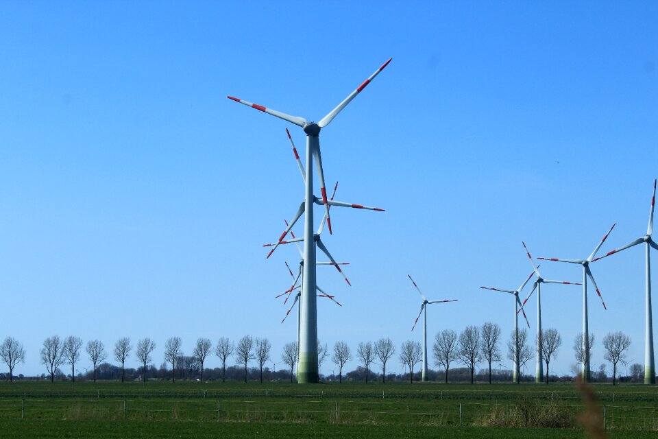 Wind power dithmarschen wind park