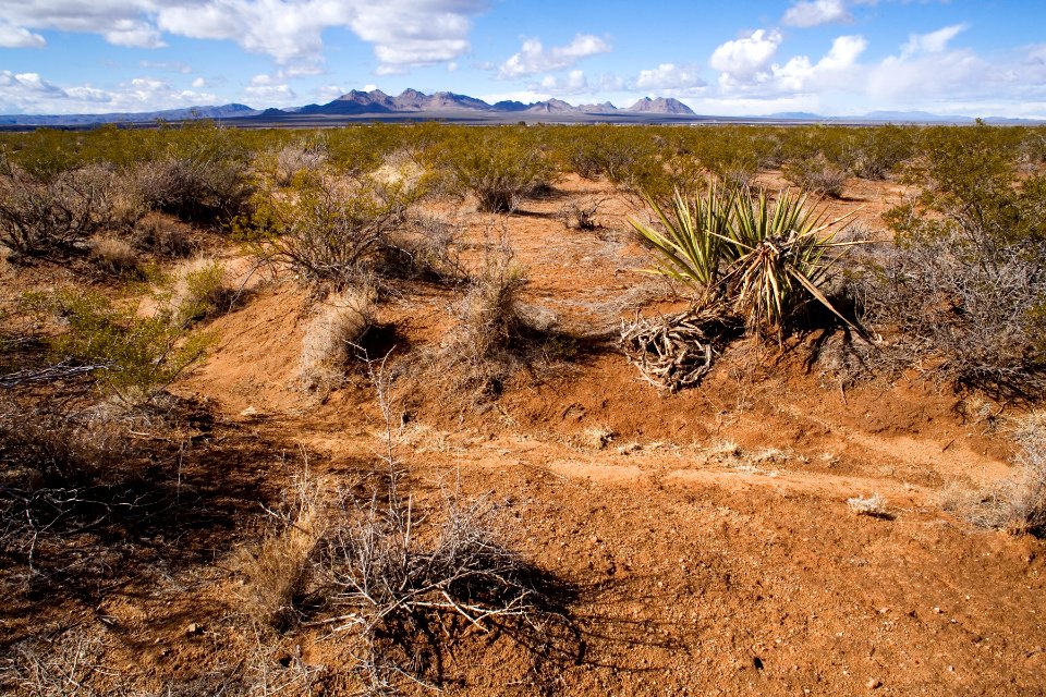 Doña Ana Mountains