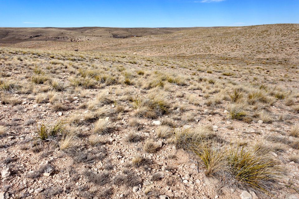 Near Arroyo del Macho