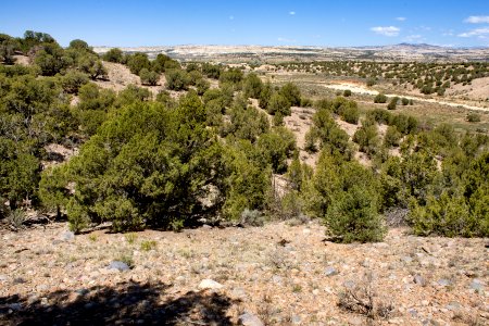Hart Canyon