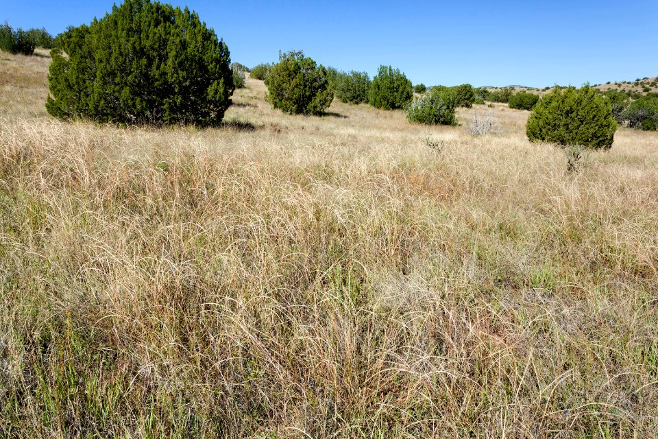 North-northeast of Cross Mountain