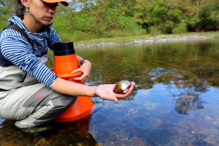 Agbalog holds sick mussel