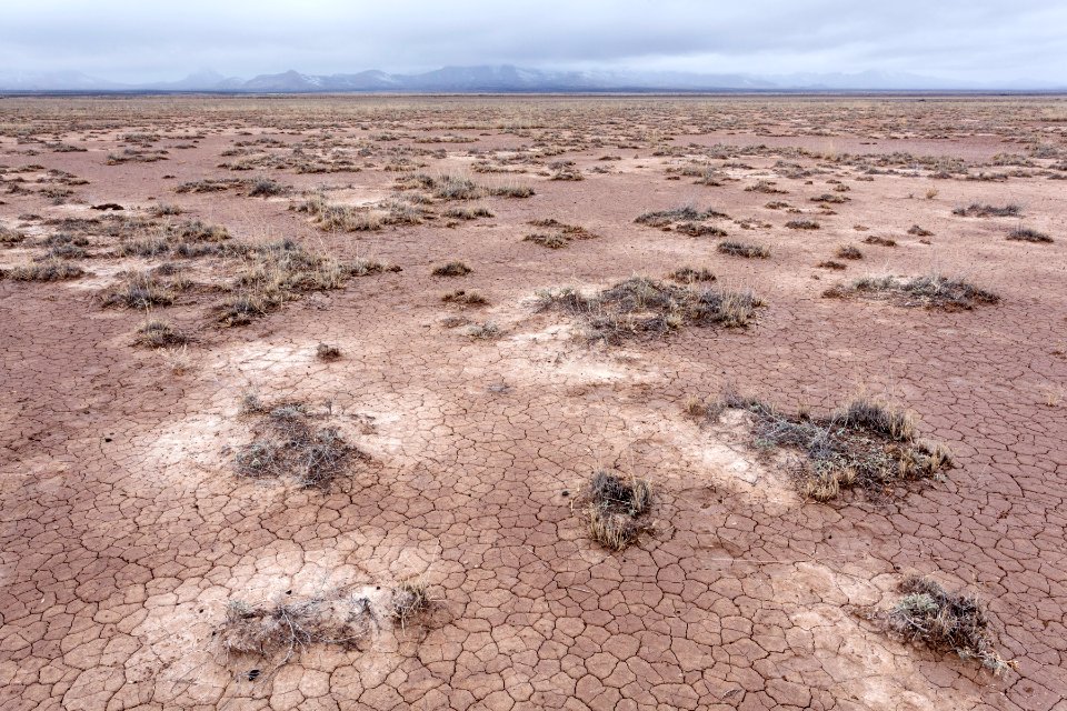 Third Lordsburg Playa
