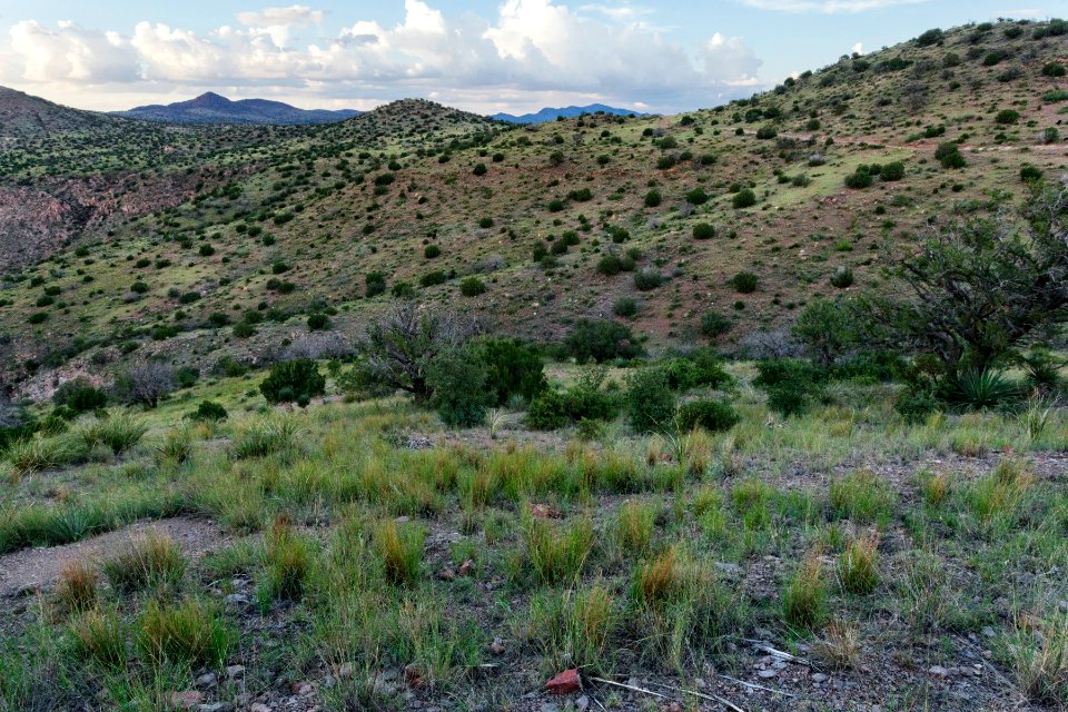 East of Owl Canyon