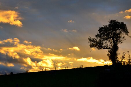 Sunset silhouette mood
