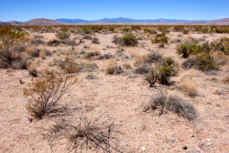 Between Trujillo Canyon and Wicks Gulch