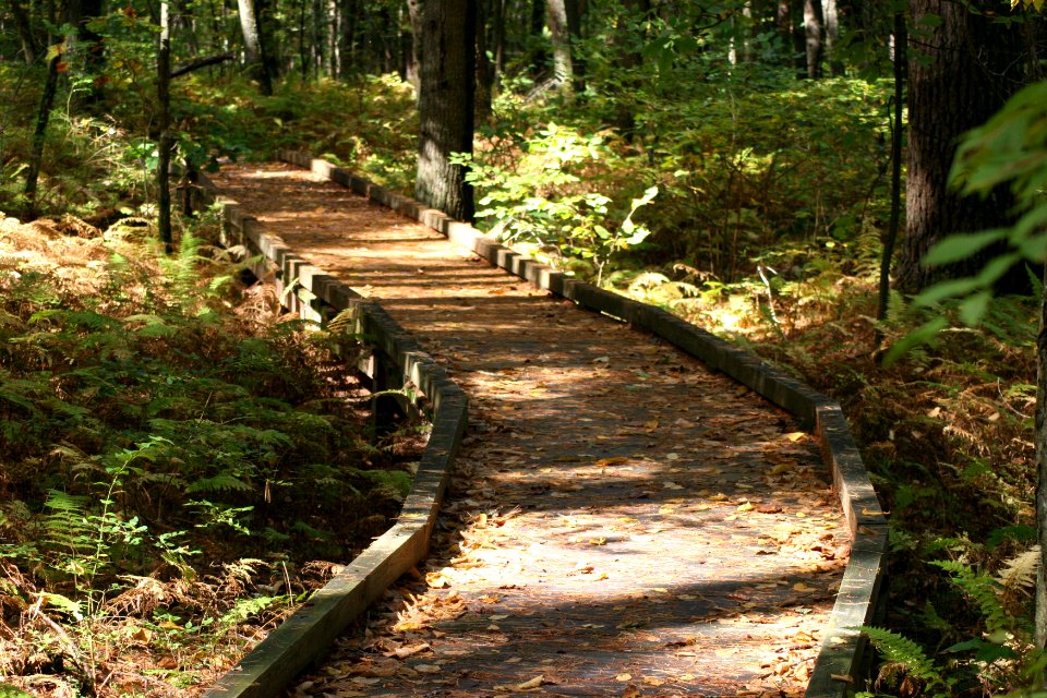 Peverly Pond Trail