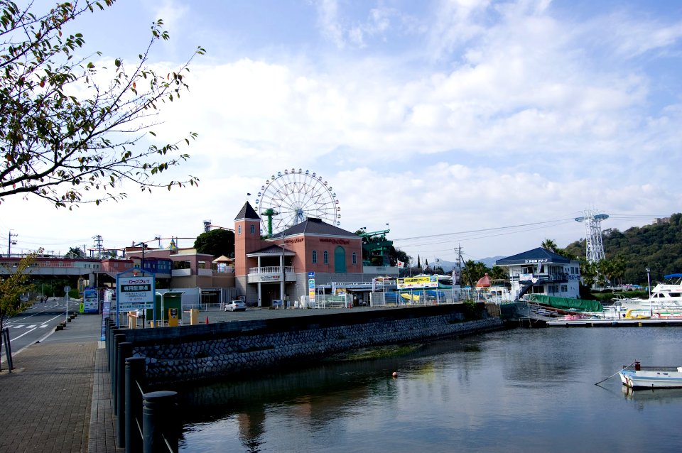 DSC 2654