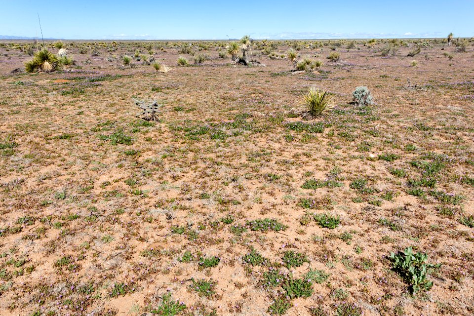 Northeast of Lordsburg