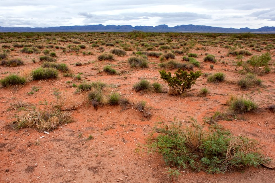 Jornada del Muerto Plain